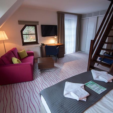 Aparthotel Flinski Sport & Spa Świeradów-Zdrój Pokoj fotografie